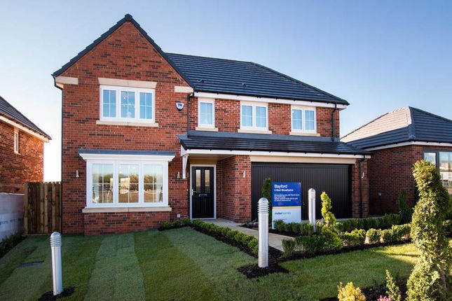 Detached house for sale in "The Bayford" at Welwyn Road, Ingleby Barwick, Stockton-On-Tees