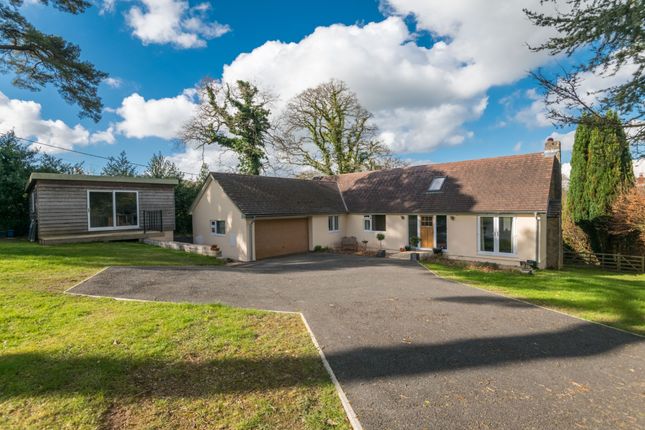 Thumbnail Detached house for sale in Bendarroch Road, West Hill, Ottery St. Mary