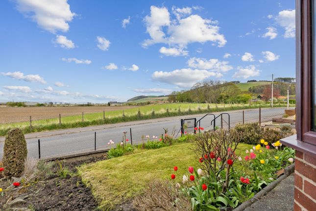 39 Scotland Terrace, Cupar photo 2