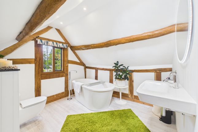 Cam01791G0-Pr0189-Still024