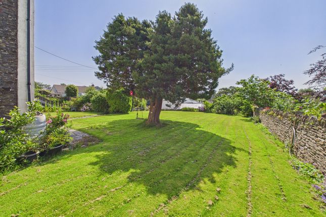 Churchtown Farm, Looe photo 2