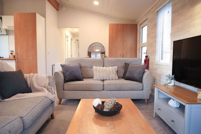 Aspire Oslo Lodge ,No. 38, Roydon Marina Village, Roydon photo 3