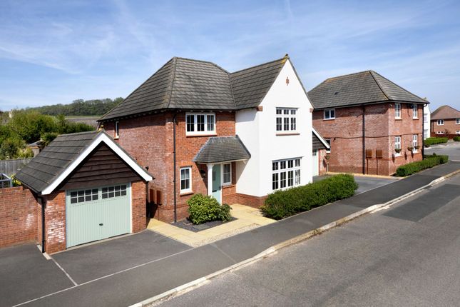 Thumbnail Detached house for sale in Curlew Way, Dawlish