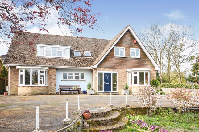 Thumbnail Detached house for sale in Goat Hall Lane, Galleywood, Chelmsford