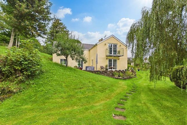 Tyddyn Sydney Farm, Tyn Lon, Bangor photo 3