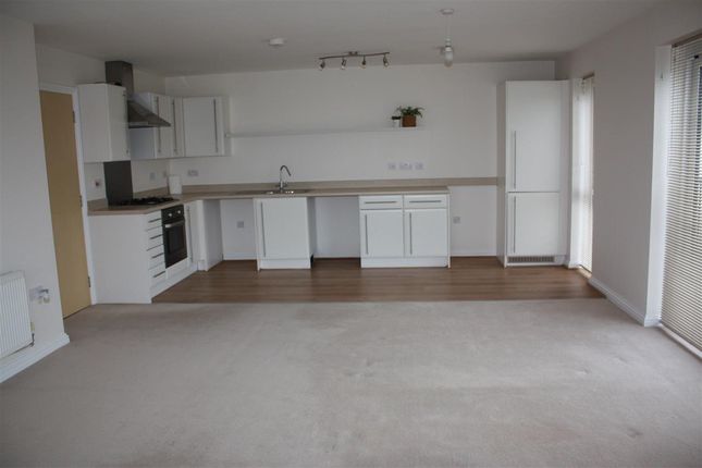 Open Plan Lounge &amp; Kitchen