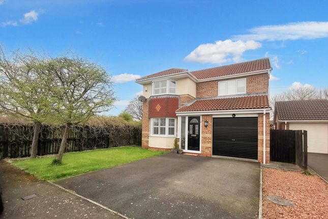 Thumbnail Detached house for sale in Barrasford Close, Ashington