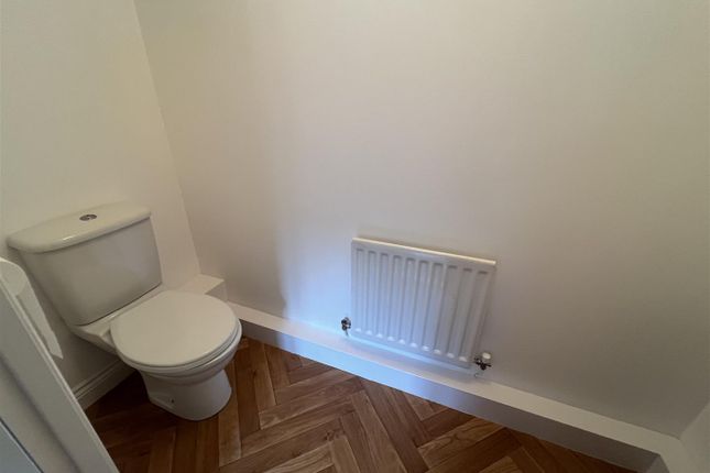 Img_6412.Jpeg