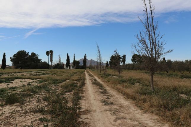 Thumbnail Land for sale in 03158 Catral, Alicante, Spain