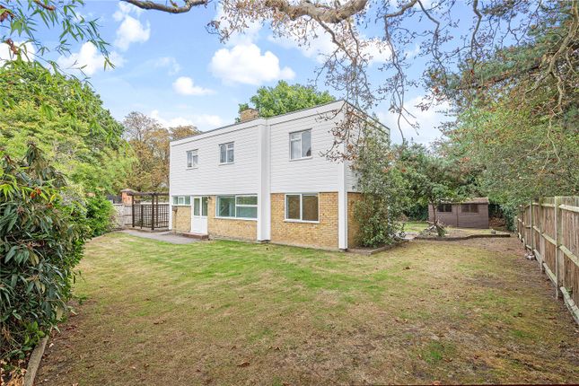 Thumbnail Detached house to rent in Bushy Park, Hampton Hill, Hampton, Middlesex