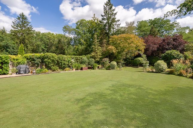 The Highlands, Leatherhead photo 4