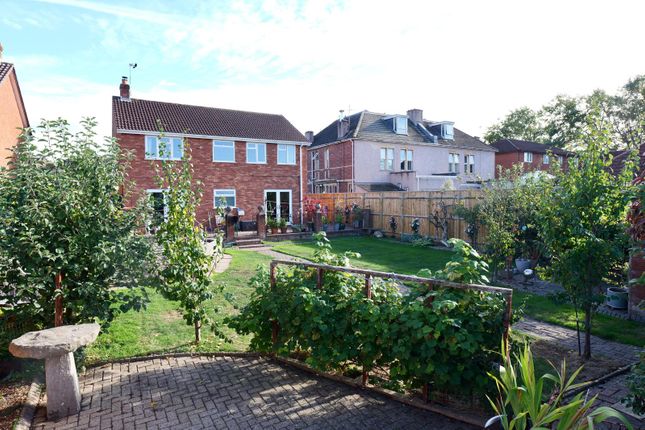 Tall Pines, Southmead Road, Southmead Road, Bristol photo 2