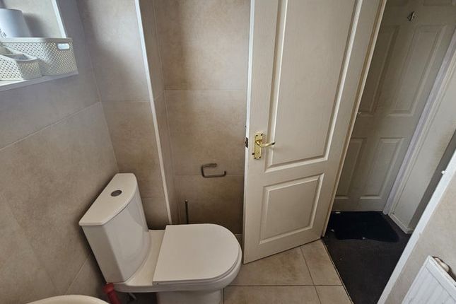 17, Chelmsford photo 5