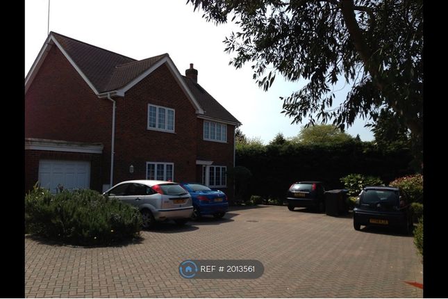 Thumbnail Room to rent in Ashbury Close, Hatfield