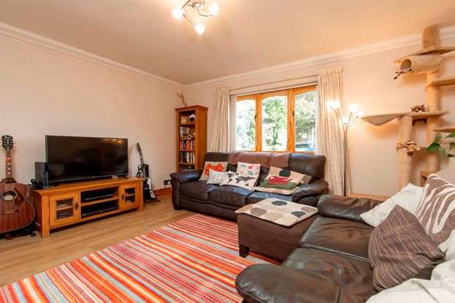 Myfanwy, Ashgrove Terrace, Treharris photo 3