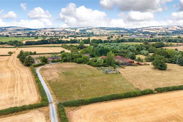 Great Sutton Farm (Lot 1),, Sutton, Ludlow photo 3
