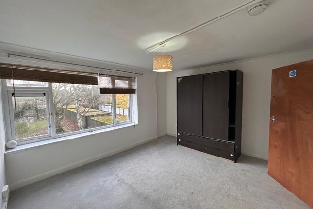82, Birmingham photo 4