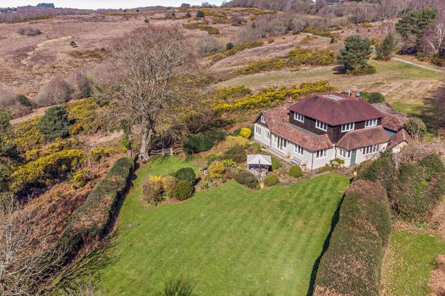 Jacks Platt,, Duddleswell, East Sussex photo 2