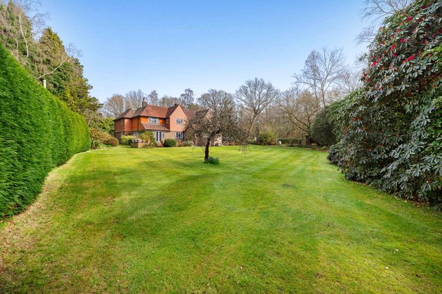 Bourne House Beaconsfield Road, Haywards Heath photo 4