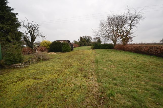 The Lymes, Whitchurch Road, Whitchurch photo 3