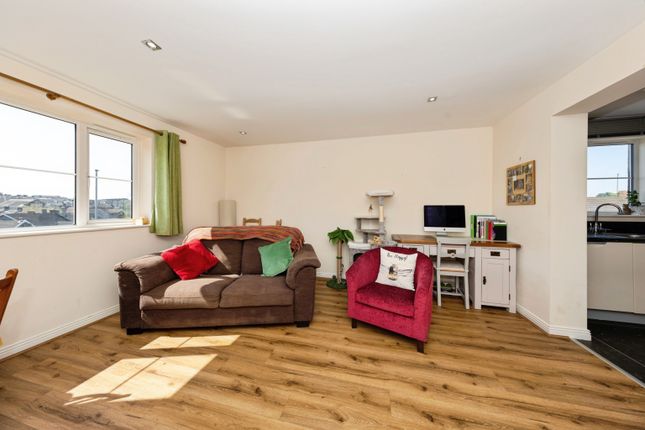 45, Llanelli photo 4