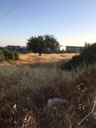 Thumbnail Land for sale in Agios Silas, Limassol, Cyprus