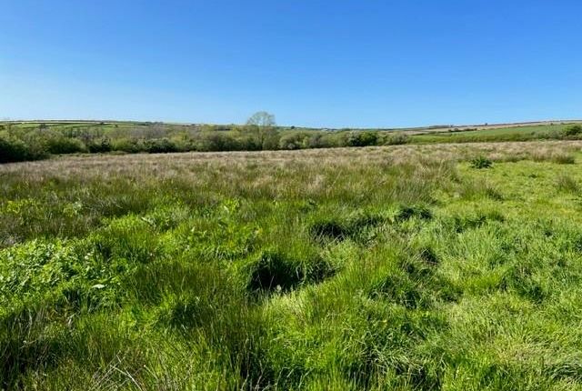 Land for sale in Fagwr Farm, Penparc, Cardigan