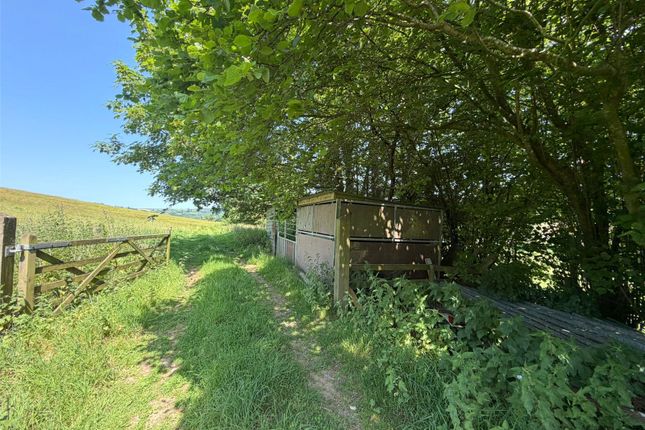 Land East Of Woods Lane,, Beaminster, Dorset photo 3