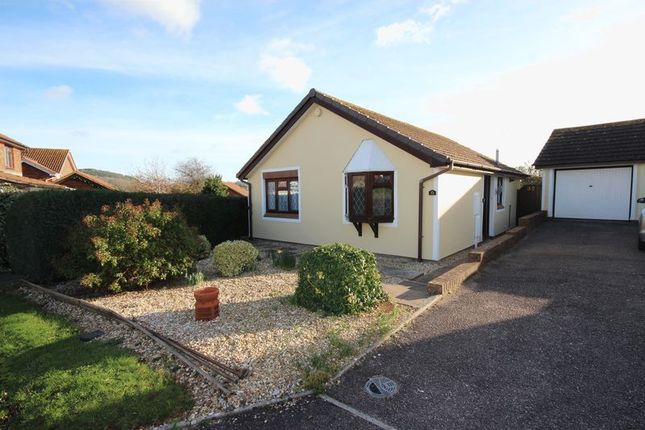 Detached bungalow to rent in Boundary Park, Seaton