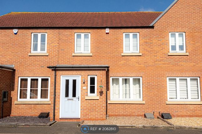 Thumbnail Terraced house to rent in Peterson Drive, Grimsby