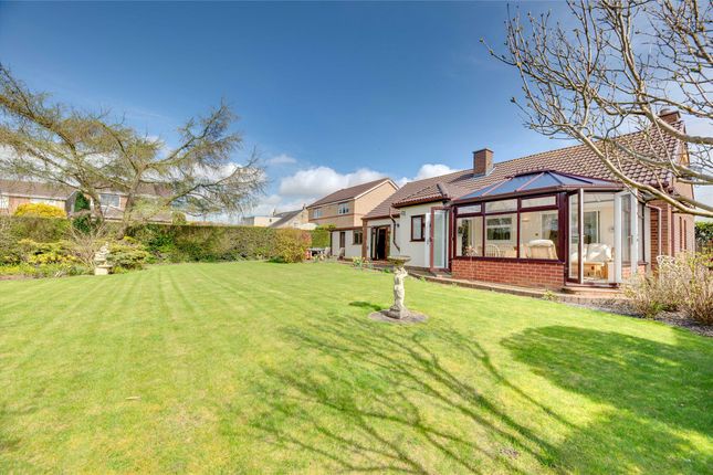 Bungalow for sale in North Road, Dipton, Stanley, County Durham