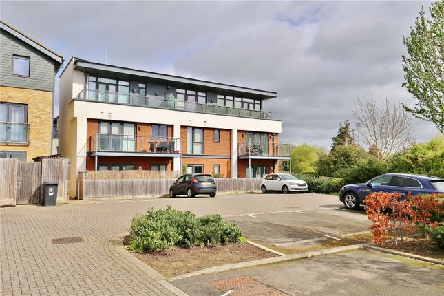 Thumbnail Flat for sale in Acer Grove, Woking, Surrey