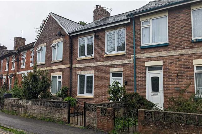 Thumbnail Terraced house to rent in Rosery Road, Torquay