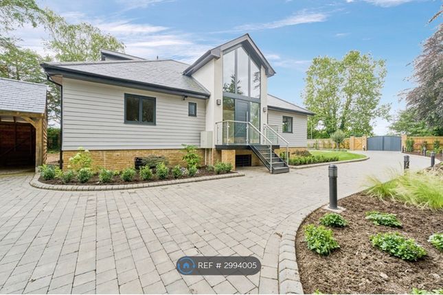 Mead Lane, Chertsey photo 2