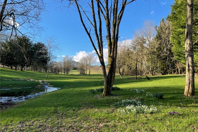 Grounds