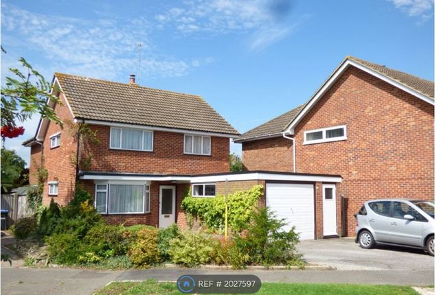 Thumbnail Detached house to rent in Meadow Lane, Burgess Hill