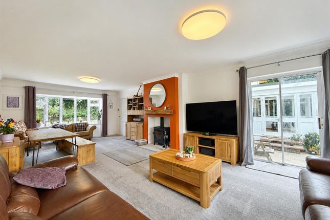 Southside, 21, Nut Tree Orchard, Brixham photo 3