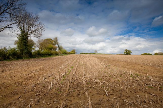 Land for sale in Grange, Wimborne, Dorset