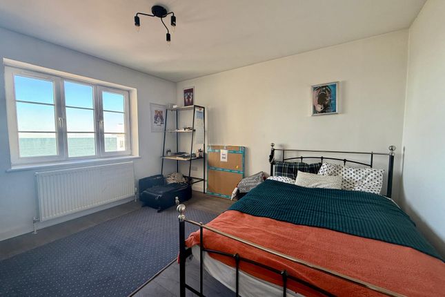 16, Brighton photo 2