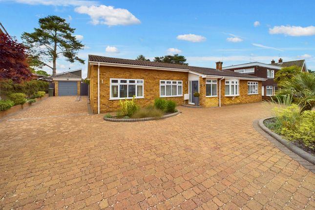 Thumbnail Detached bungalow for sale in Mackenzie Road, Thetford, Norfolk