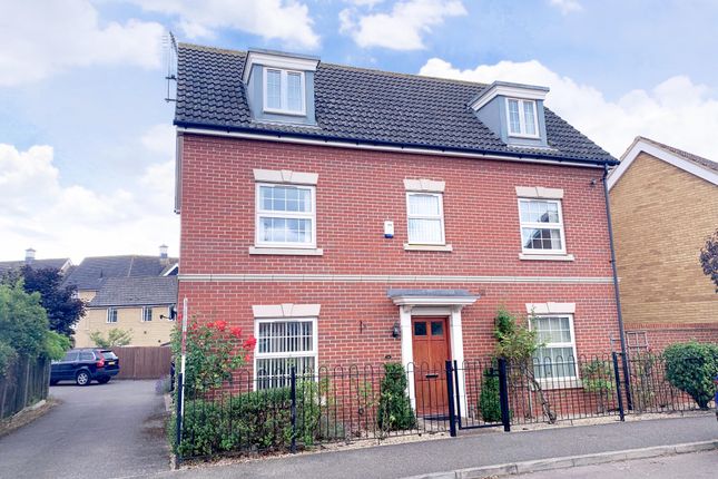Thumbnail Detached house to rent in Thistle Way, Red Lodge, Bury St. Edmunds