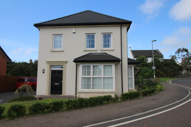 Thumbnail Detached house to rent in Blackwood Avenue, Newtownards, County Down