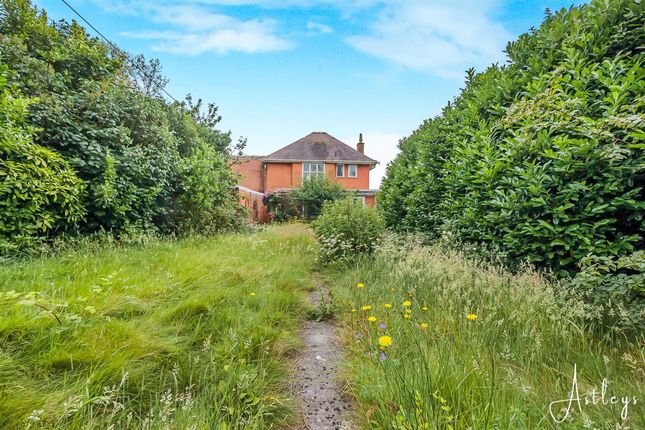 19, East Cliff, Swansea photo 4