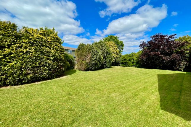 En Passant, Kingston Lane, East Preston photo 4