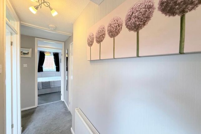 21, Friendship Gardens, Carronshore photo 2