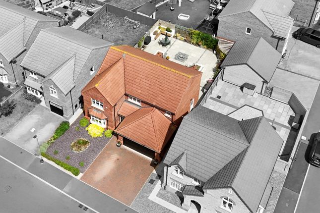 Dji_20250716135312_0026_D1