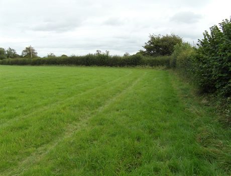 Land for sale in Rushmead Lane Upper South Wraxall, Bradford-On-Avon