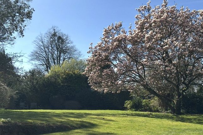 Glenbeigh,, Priory Close, Maidstone photo 4