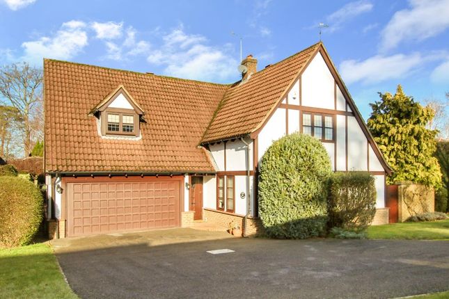 Thumbnail Detached house for sale in Sycamore Close, Fetcham