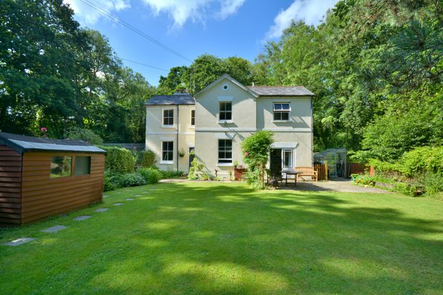 Homes For Sale In Fittleworth Buy Property In Fittleworth